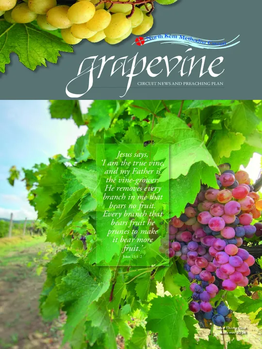 Newsletter-Autumn 2024