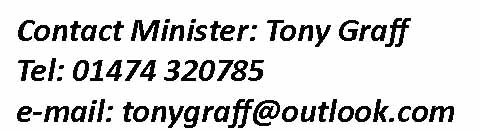 contact Tony Graff